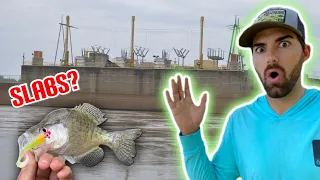 What Will We Catch @ This GIANT SPILLWAY??? (Fishing For SLABS!) Bank Fishing with Double Jigs!