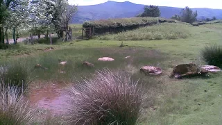 Tywyn Y Gaer Hillfort, Libanus