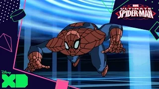 Ultimate Spider-Man Vs. The Sinister Six | Strange Little Halloween | Official Disney XD UK