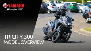 Tricity 300 | Model Overview