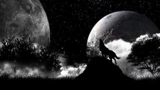 Wolf Wallpaper Progression online video cutter com
