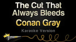 Conan Gray - The Cut That Always Bleeds (Karaoke Version)