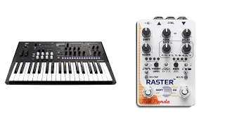 Red Panda Raster V2 first look on a synth (featuring Korg Wavestate)