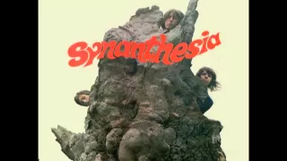 Synanthesia - The Tale Of the Spider And The Fly