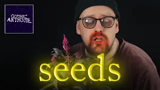 seeds | short horror film (2020)