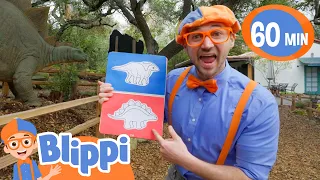 Blippi Explores The Dinosaur Natural History Museum | Educational Videos for Kids