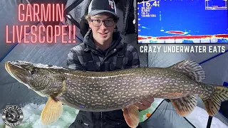 Ice Fishing for Pike and Walleye with the GARMIN LIVESCOPE!!! | Monster Angling