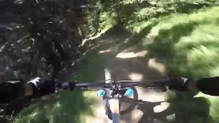 Test e-downhill bike Rotwild