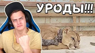 Bazya СМОТРИТ - ОН БЫЛ ПРИКОВАН 20 ЛЕТ! ВОТ ЧТО СЛУЧИЛОСЬ ПОСЛЕ ТОГО, КАК ЕГО ВЫПУСТИЛИ