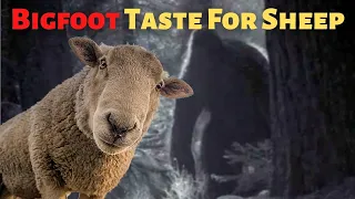 Bigfoot And The Sheep Farmer Mystery Terrifying True SAROY Story | (Real Drama)