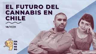 EL FUTURO DEL CANNABIS EN CHILE / MAÑANERO EL MATINAL