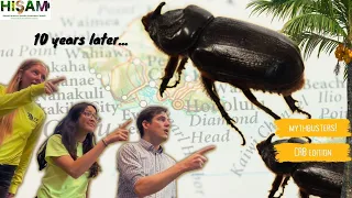 10th year of the Coconut Rhinoceros Beetle- How did we get here and where do we go?