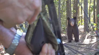 Bear gets too close | Old Bears & Men | Short FILM