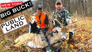 NEW YORK PUBLIC LAND BUCK FROM SADDLE