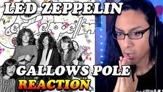 Punk Musician Listens to LED ZEPPELIN "Gallows Pole" For The First Time! Reaction