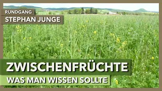 Das Potenzial von Zwischenfrüchten & worauf man achten sollte | Stephan Junge | Rundgang 6