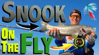 How to Fly Fish Snook on Beach Surf | Sight Fishing Florida Tips Tactics Gear