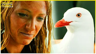 Saving Steven Seagull | The Shallows | Creature Features