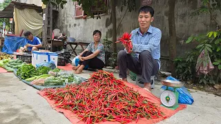 Harvest chillis Goes to the market sell - Gardening - Take Care Of The Pet | Solo Survival