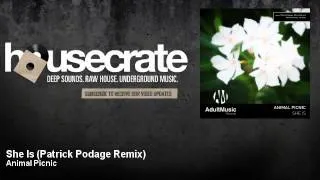 Animal Picnic - She Is - Patrick Podage Remix