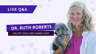 Holistic Dog Care Summit Day 4 Live Q&A