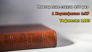 Тефиллин 1Коринфянам 1:27 стих 100 раз