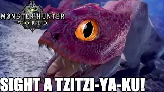 Sight a Tzitzi Ya Ku Location! Monster Hunter World