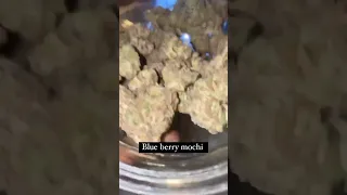 Blueberry Mochi