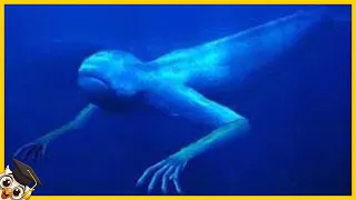 10 Criaturas Misteriosas Subaquáticas