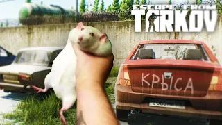 КРЫСЫ ПОВСЮДУ... ESCAPE FROM TARKOV ТАРКОВ EFT