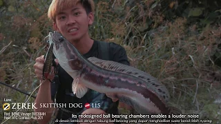 Topwater Giant Snakehead smashes the Zerek Skittish Dog Loud 115 pencil!