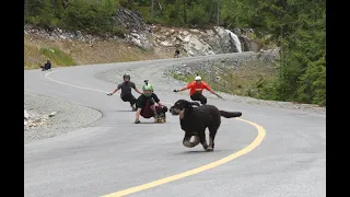 Whistler Raw "Dog Run" with Mike Fitter, Matt King, Raggie English, & Ajay Daniels