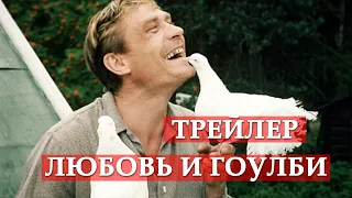 Любовь и голуби - трейлер