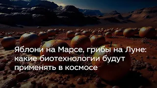 Яблони на Марсе, грибы на Луне: какие биотехнологии будут применять в космосе