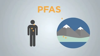 Explained: What are PFAS compounds and how can they affect human health?