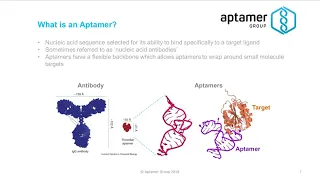 What is an aptamer?