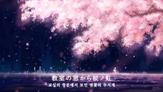 [ 당신의 졸업을 축하합니다 ]  벚꽃의 비 | 이토카시타로 【Itou Kashitarou】 |