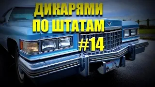 1976. ПОЛНЫЙ ФАРШ | ДИКАРЯМИ по ШТАТАМ #14 [4K]