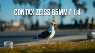 VENICE BEACH - CONTAX ZEISS 85mm f1.4 AEG + Sony A7S III Test Footage