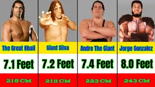 WWE Wrestler Height Comparison (Shortest to Tallest)