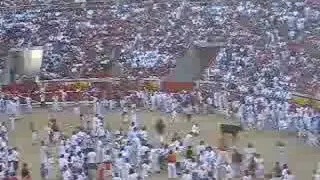 La Plaza de Toros (Pamplona 2008)