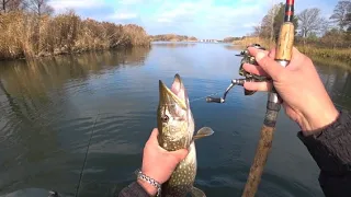 Секретный залив! 8 месяцев без рыбалки.