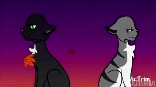 Коты Воители - Остролистая и Искра.(Hollyleaf and Ivypool)