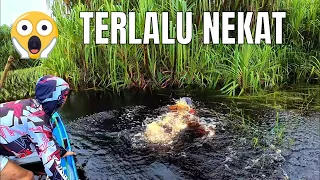 5 HARI 4 MALAM menuju spot IKAN JUMBO UNIK PALING DICARI KOLEKTOR