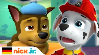 PAW Patrol | Chase wird krank! | Nick Jr.