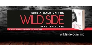 Take a Walk on the Wild Side full video