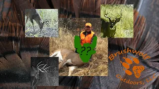 Self-filmed Deer Hunt 2019 Missouri Firearms Season - Big Buck Down!