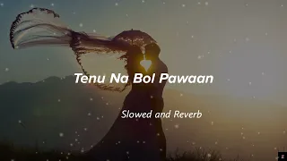 Tenu na bol pawaan song | slowed reverb | female version | Muzical