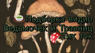 🍄ПОДБОРКА ВИДИО ТИК ТОК ДЛЯ ВЕДЬМОЧЕК И ТРАВНИЦ🍄💋 1 часть