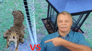 Funny Squirrel going up the Slinky || Squirrel vs Slinky || Squirrel Proof Bird Feeder Compilation